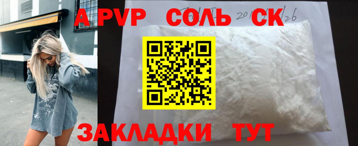 Alfa_PVP СК Гатчина