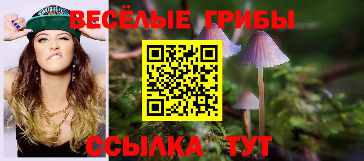 Галлюциногенные грибы прущие грибы  Псилоцибиновые грибы MAGIC MUSHROOMS  Гатчина  Вход с VPN 